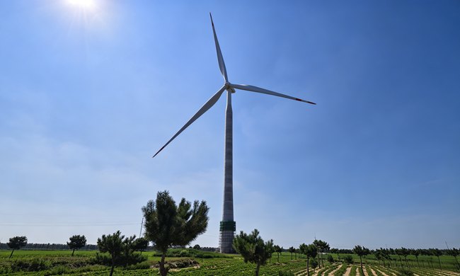 1783043816492813.jpg 图1 风塔参考图.jpg