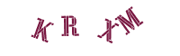 验证码