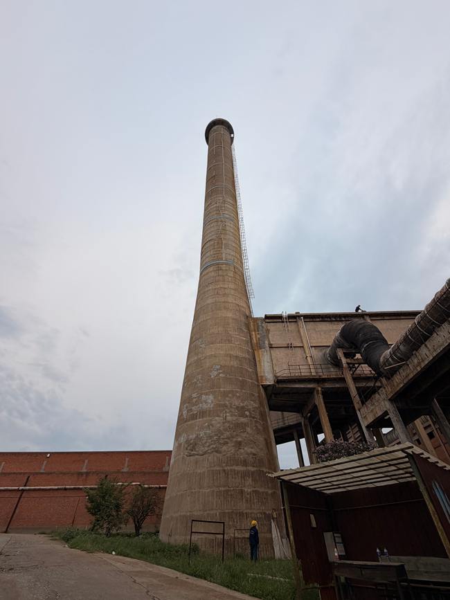 1786518339684483.jpg 图1 排毒塔.jpg